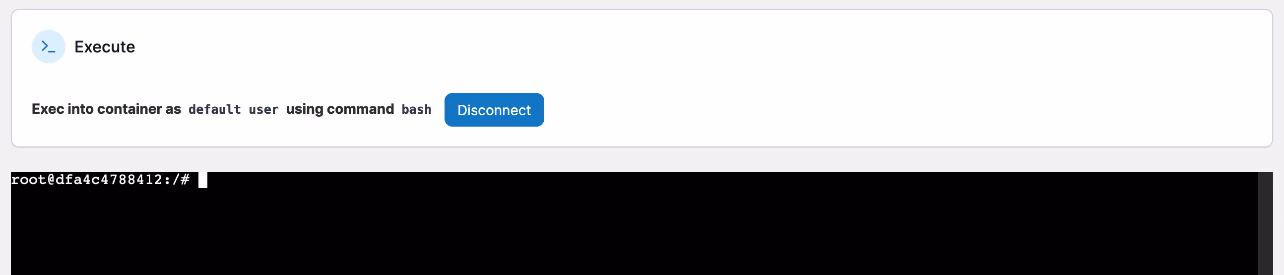 Root Console to a Host via Portainer?