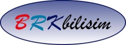 BRK Bilisim logo