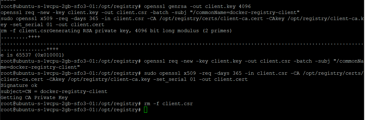 Deploy A Self-Hosted Registry Secured With X509 Client Certs.